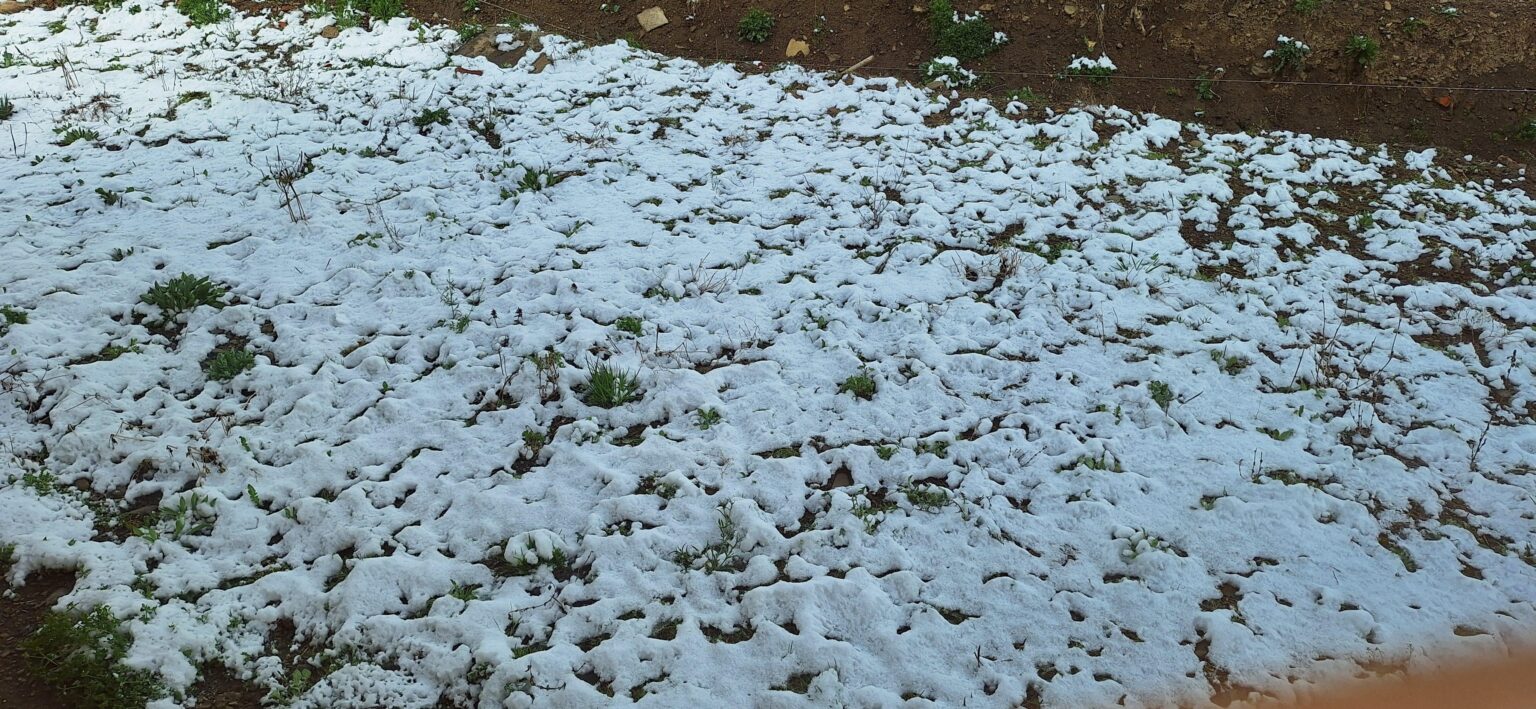 Wetter mehr verschlagen als diese Regierung