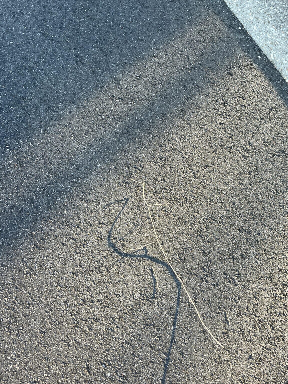 G.