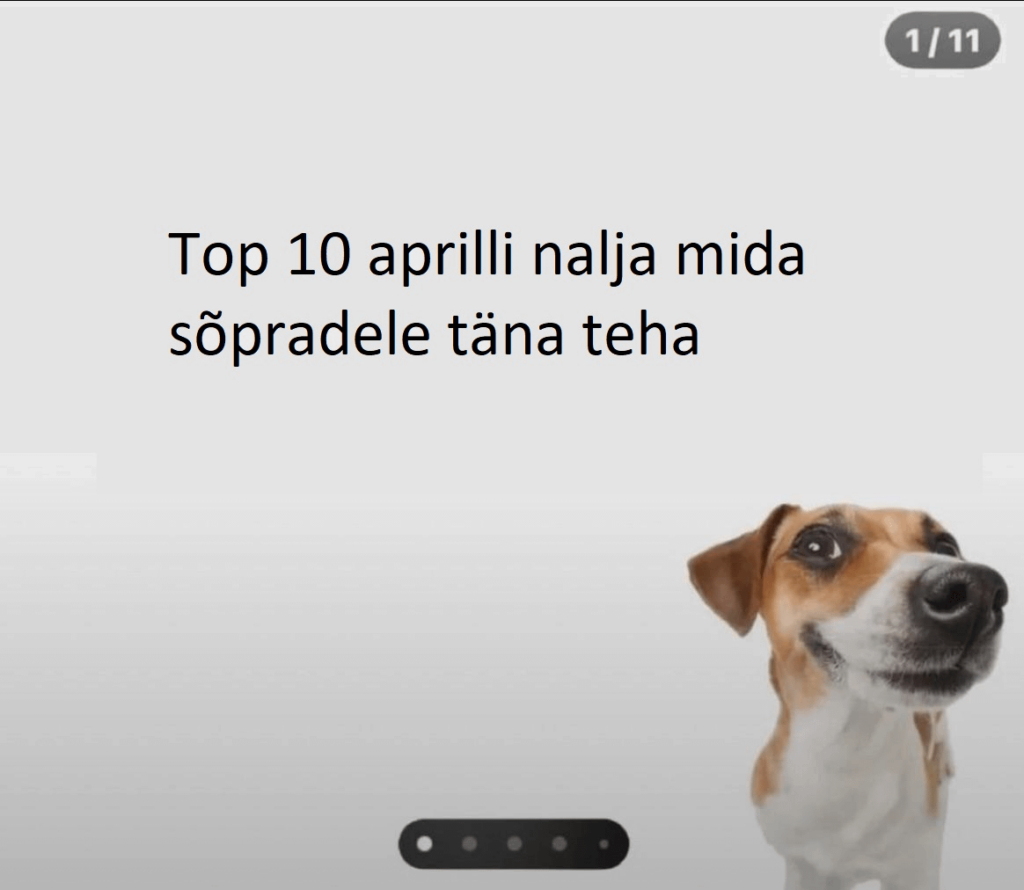 Ziemlich gut sogar