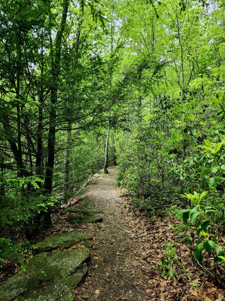 Bilder der Wanderung, die ich gestern gemacht habe