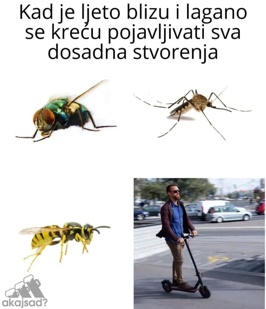 Jedes Jahr zu dieser Zeit