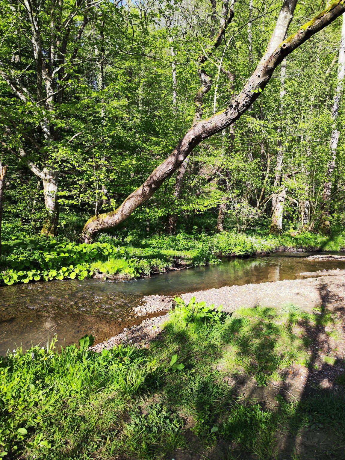 Schöner Strom in Grejsdalen in Dänemark