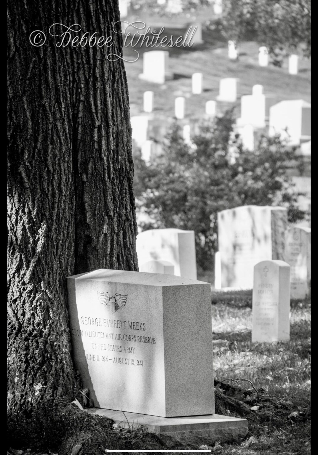 Arlington
