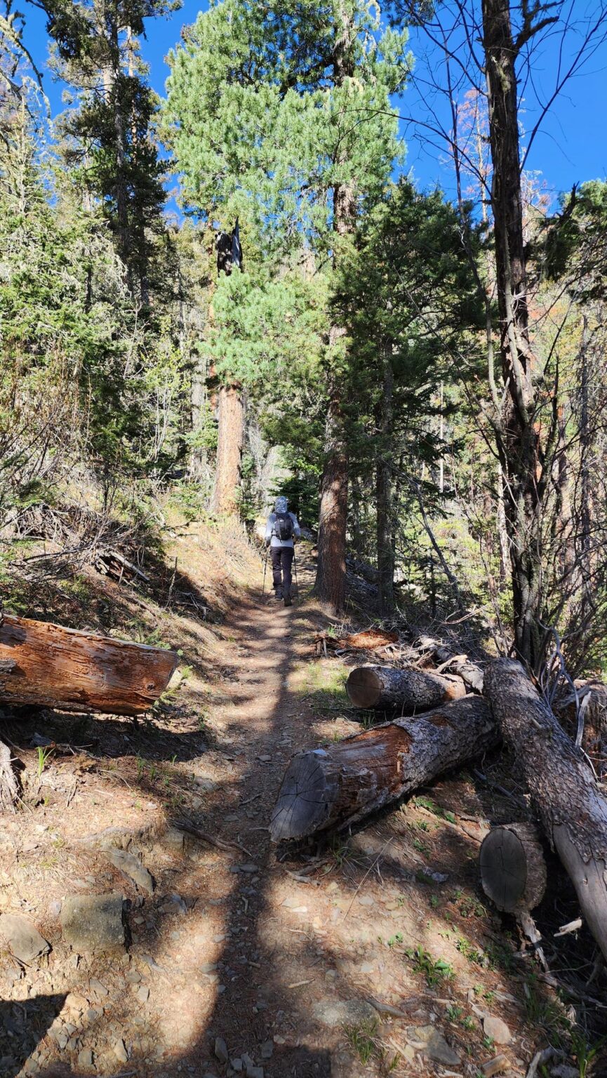 Pecos -> Santa Fe Ski Basin Traverse