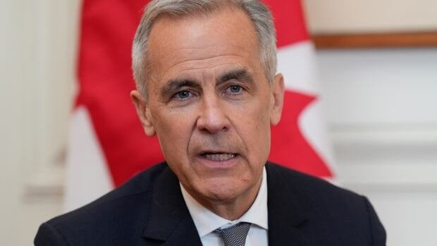 Premierminister Mark Carney sagt