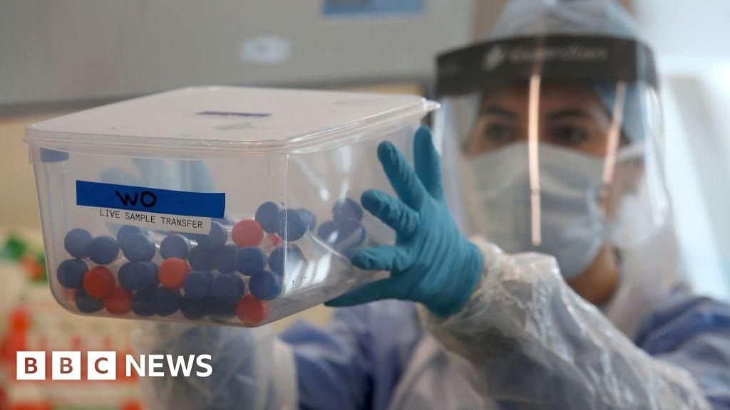 Hancock ignorierte den Anruf, um alle NHS -Mitarbeiter zu testen, Covid Inquiry Hören