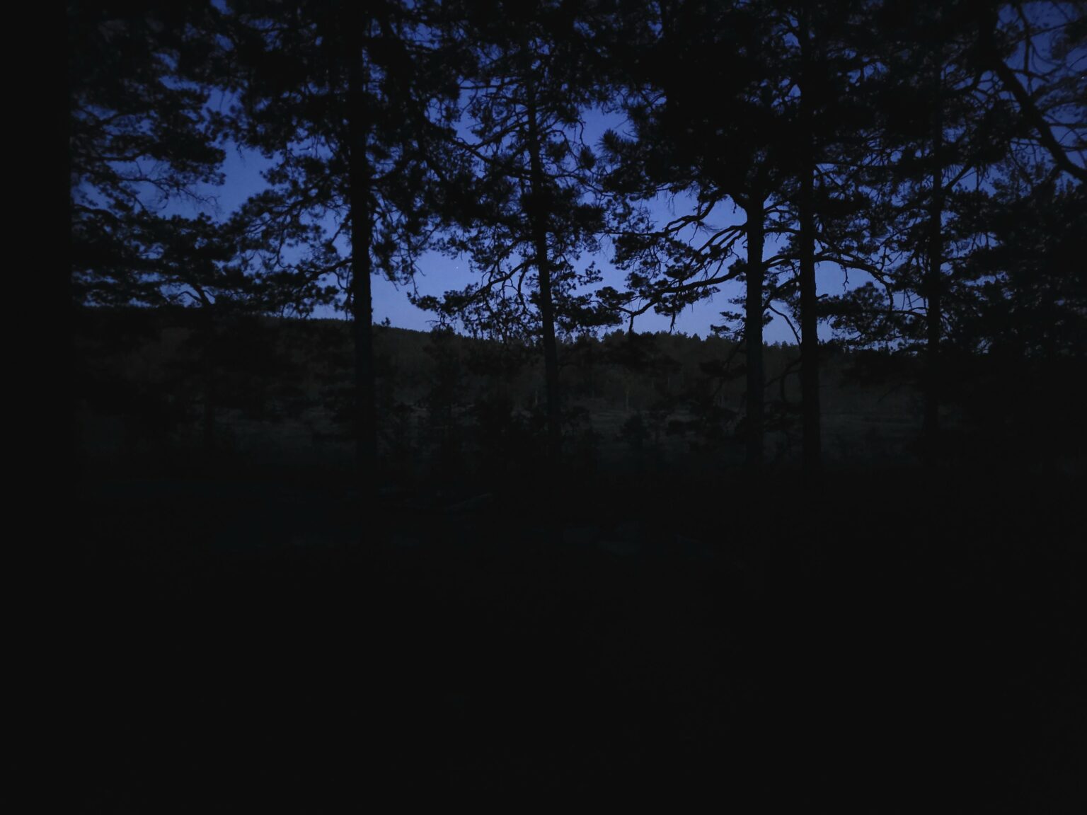 Fast Mitternacht, eine erstaunliche Erfahrung.