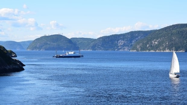Das Wiederbelebung des Quebec LNG -Projekts wäre kostspielig, wahrscheinlich unrentabel: neuer Bericht