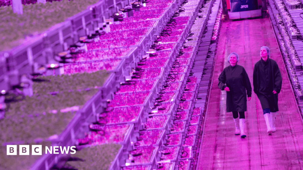 Firma hinter Großbritanniens größter vertikaler Farm geht pleite