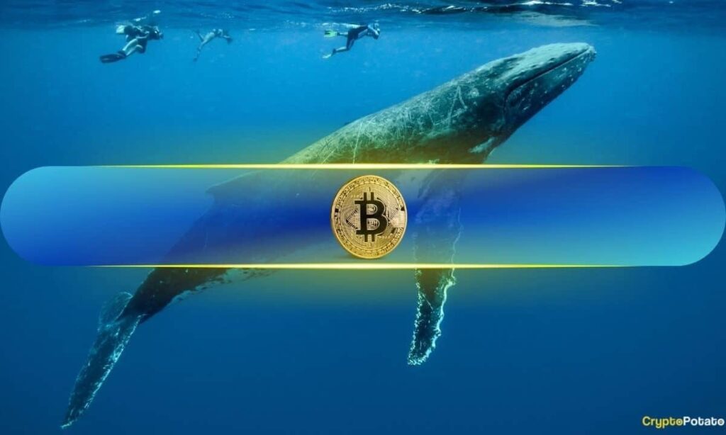 Bitcoin bis 121.000 $ nächste Woche? Mega Whale Wynn wette $ 1,25 Mrd. drauf