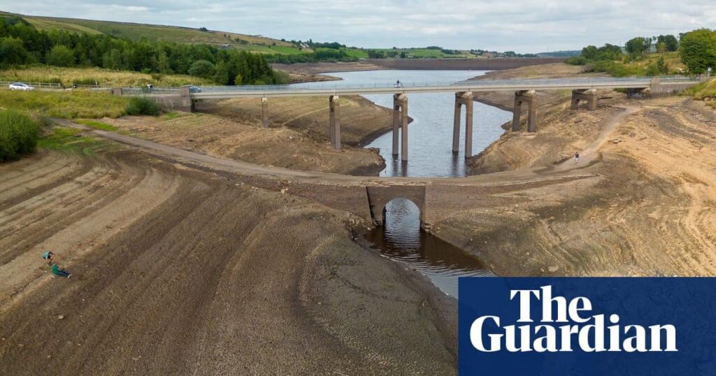 Dürrebedingungen, die bereits in die britische Pflanzenproduktion kommen, sagen die Landwirte, sagen die Landwirte