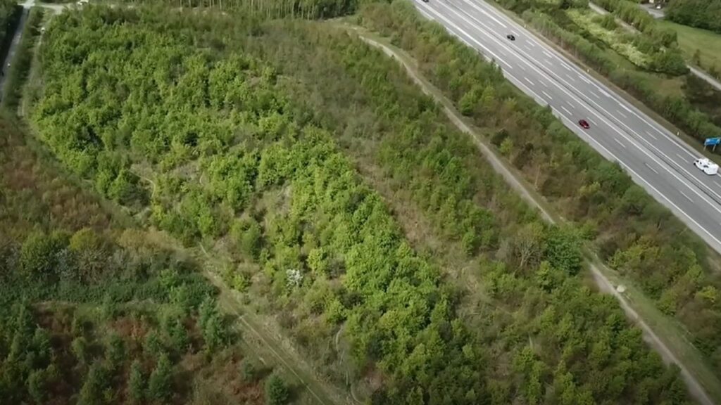 Entscheidungen der Regierung erhalten massive Kritik – Cycling Club muss Mountainbike -Tracks entfernen Entscheidungen der Regierung erhalten massive Kritik - Cycling Club muss Mountainbike -Tracks entfernen