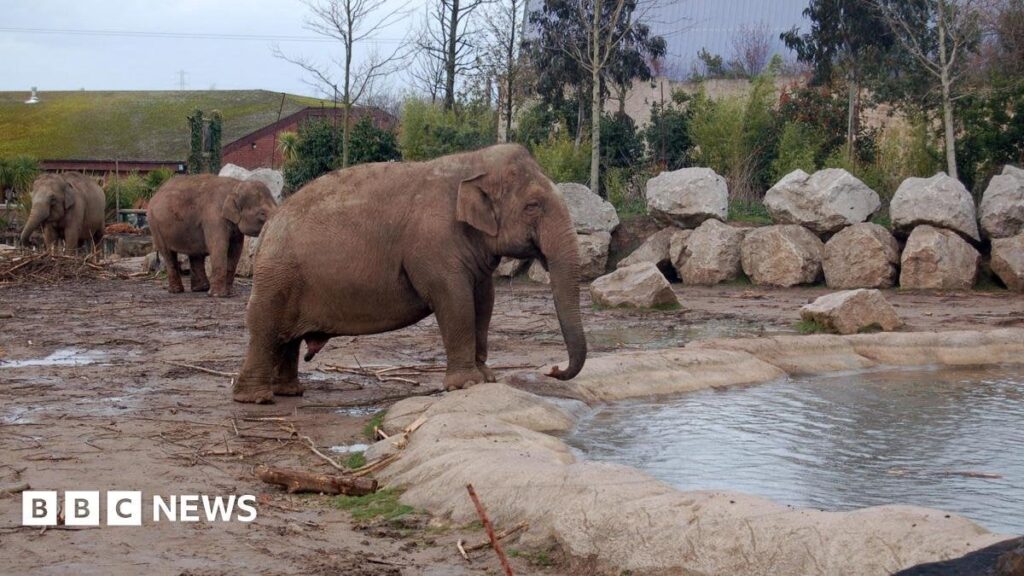 Zoos sagte, sie sollten "lang überfällige" Wohlfahrtsreformen einbringen