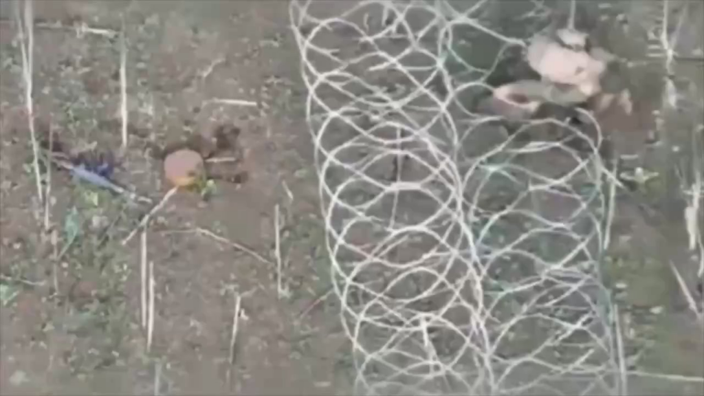 Der russische Soldat steckt in Barbwire fest und versuchte, die Egoza -Barriere in Pokrovsk zu infiltrieren, wird von FPV in die Luft gesprengt