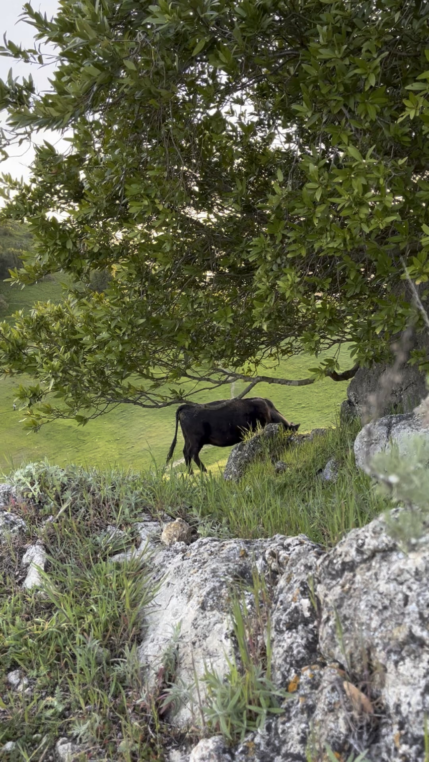Solo -Natur geht zum Aufladen und Auffüllen