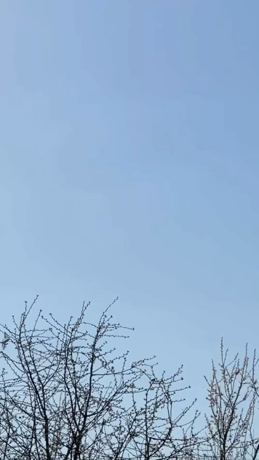 Das UTAC-Team verwendete in Zusammenarbeit mit der Luftwaffe F-16, um mit amerikanischen GBU-geführten Bomben auf Bodenziele in der Region Kursk zu treffen.