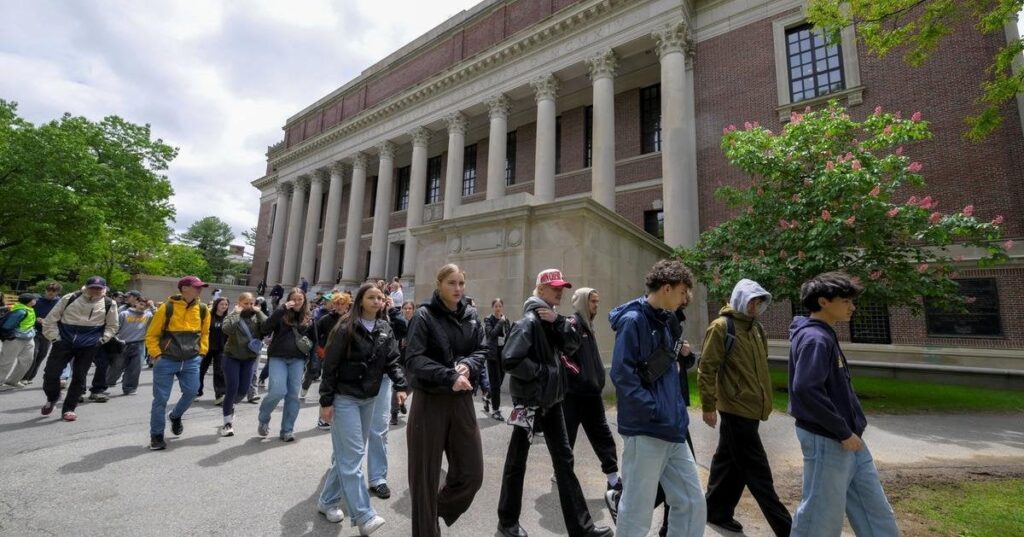 Die Trump -Verwaltung wird alle verbleibenden Mittel an Harvard stornieren: Bericht