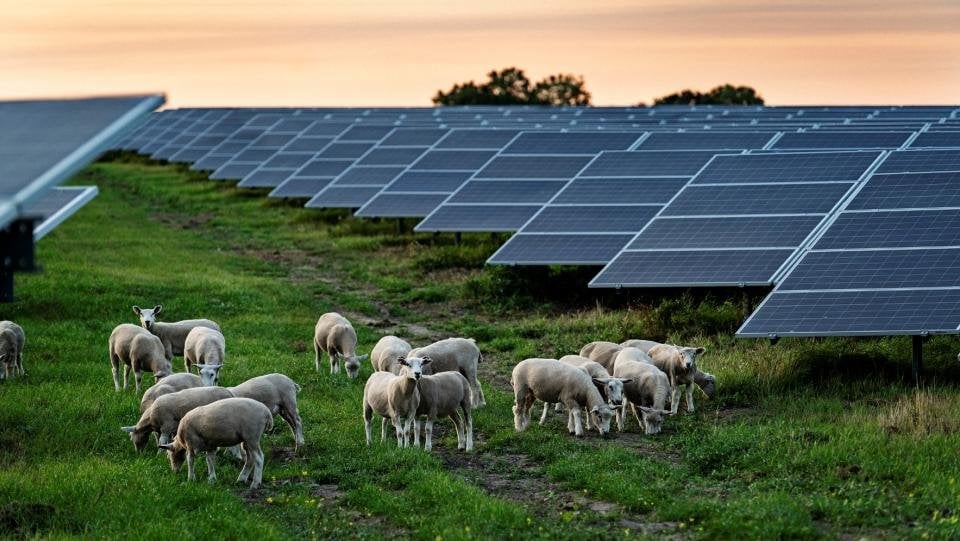 Versteckte China -Funkgeräte können eine kurze Solarzellenpflanze: Experten vor möglichen Explosionen warnen
