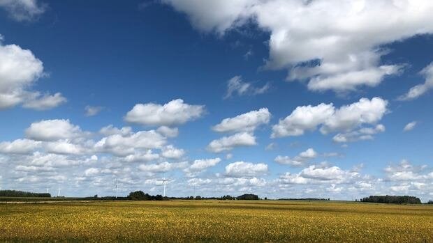 2 MPPs haben einen Ontario -Foodbelt vorgeschlagen. Könnte es den AG-Sektor tarifsicher helfen? | CBC News