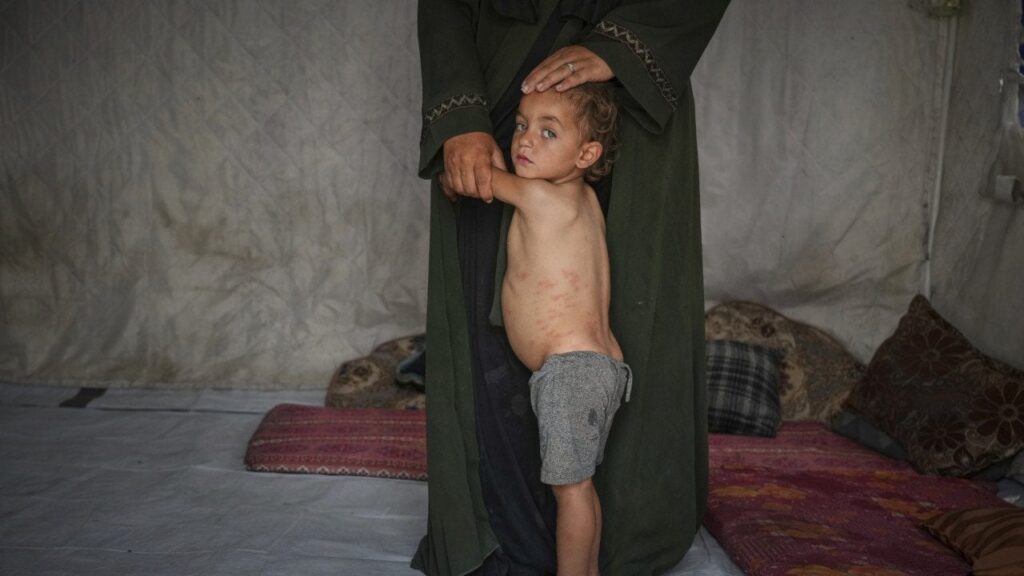 Ehemaliger israelischer General: Israel 'tötet Babys als Hobby' in Gaza '