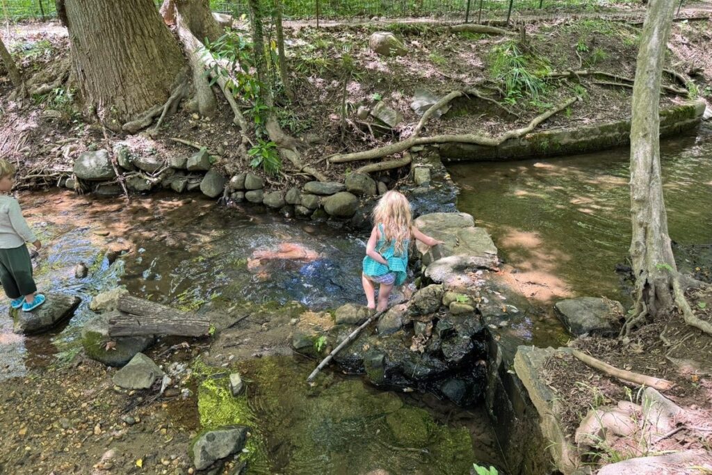"Es sieht nicht so aus, als wäre es mit Abwasser gefüllt."