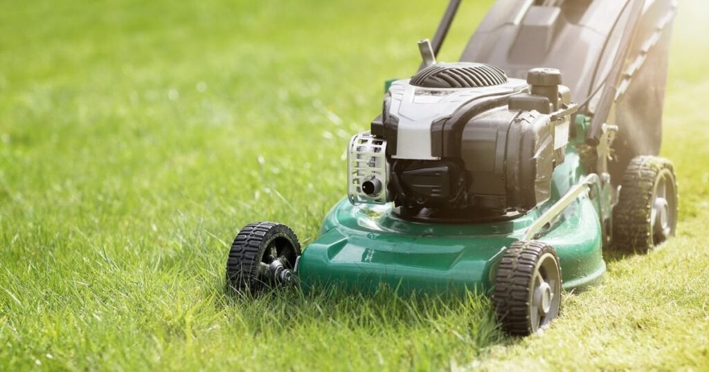 Die Briten "sollte diese Woche nicht ihr Gartengras schneiden" - laut Experte