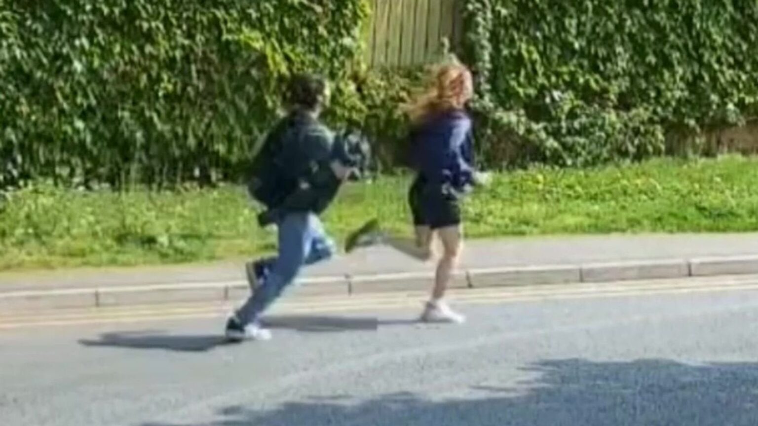 Polizei jagte nach Teenagern, die "zerstückelte Kätzchen in der Seerosenbeutel tragen" gesehen haben.