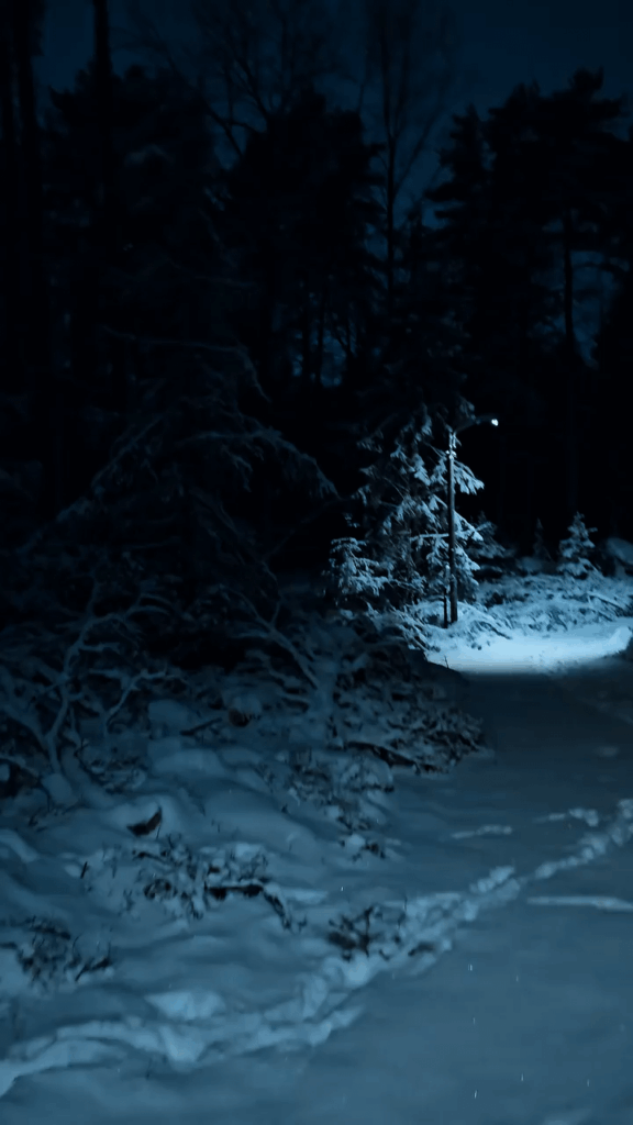 Ein dunkler winterlicher Waldspaziergang in Schweden
