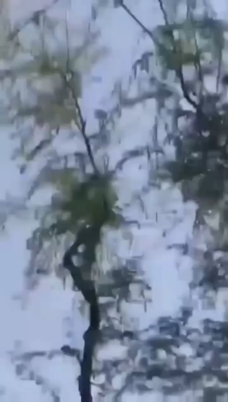 Indischer Streik auf Kirana Hills Atomanlage, Pakistan