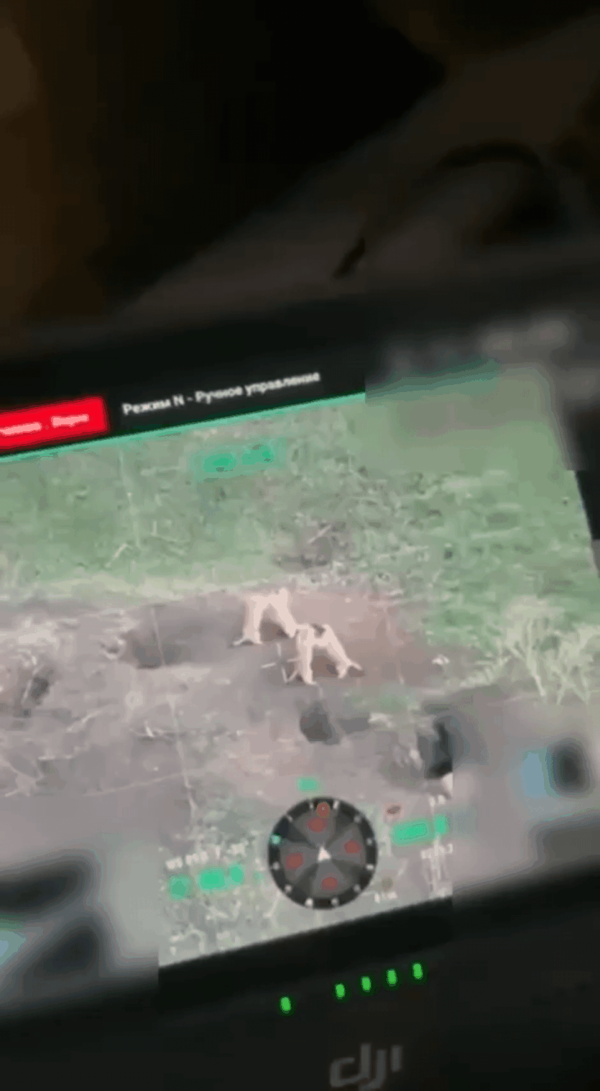 Die ukranischen Drohnenbetreiber sehen Marmots an der Front.