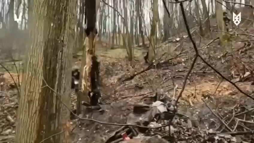 Die ukrainischen Streitkräfte fangen sechs Russenkämpfer in der belgorodischen Region ein.