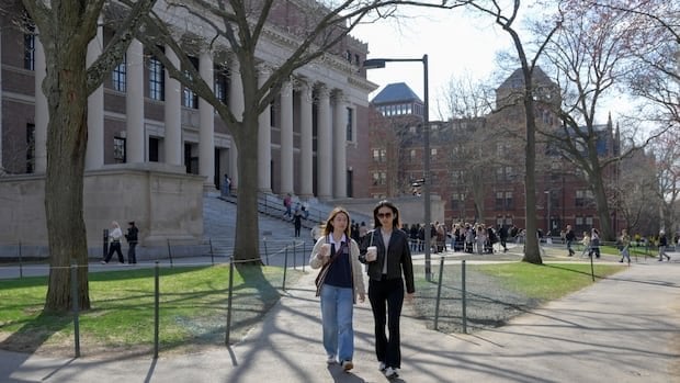 Kanadische Harvard -Studenten kämpfen mit Trumps Versuch, ausländische Studenten auszuschließen
