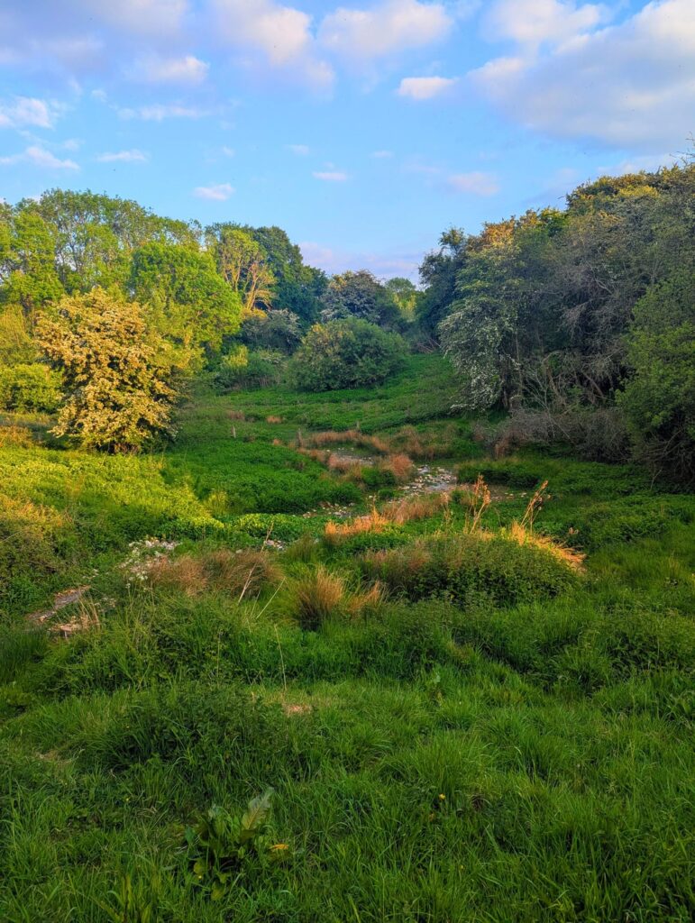 Irgendwo in den Cotswolds