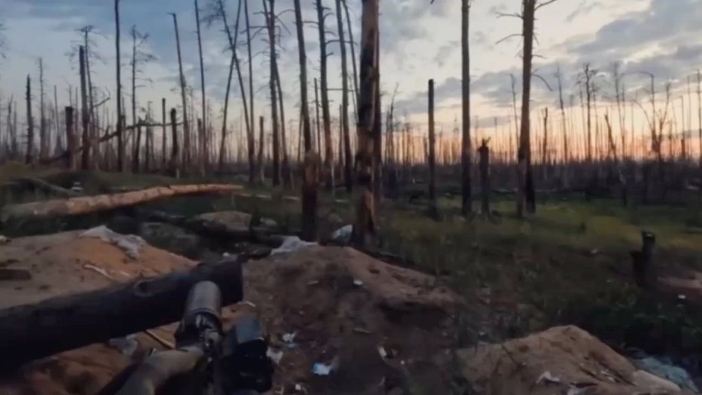 Ua sof kämpft in kreminna Forest, 2024 [Enemy Visible]