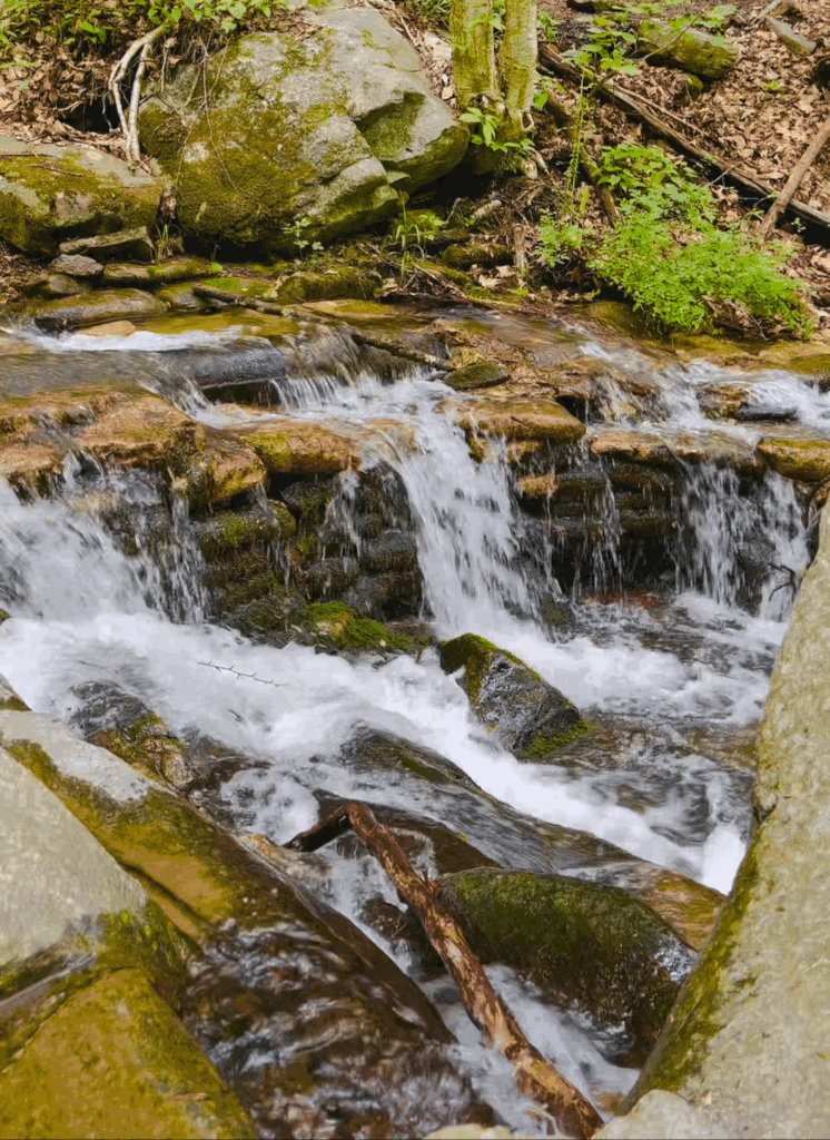 Wasserfälle zu sehen ist mein Lieblingsgrund für das Wandern auf meinen lokalen Trails…