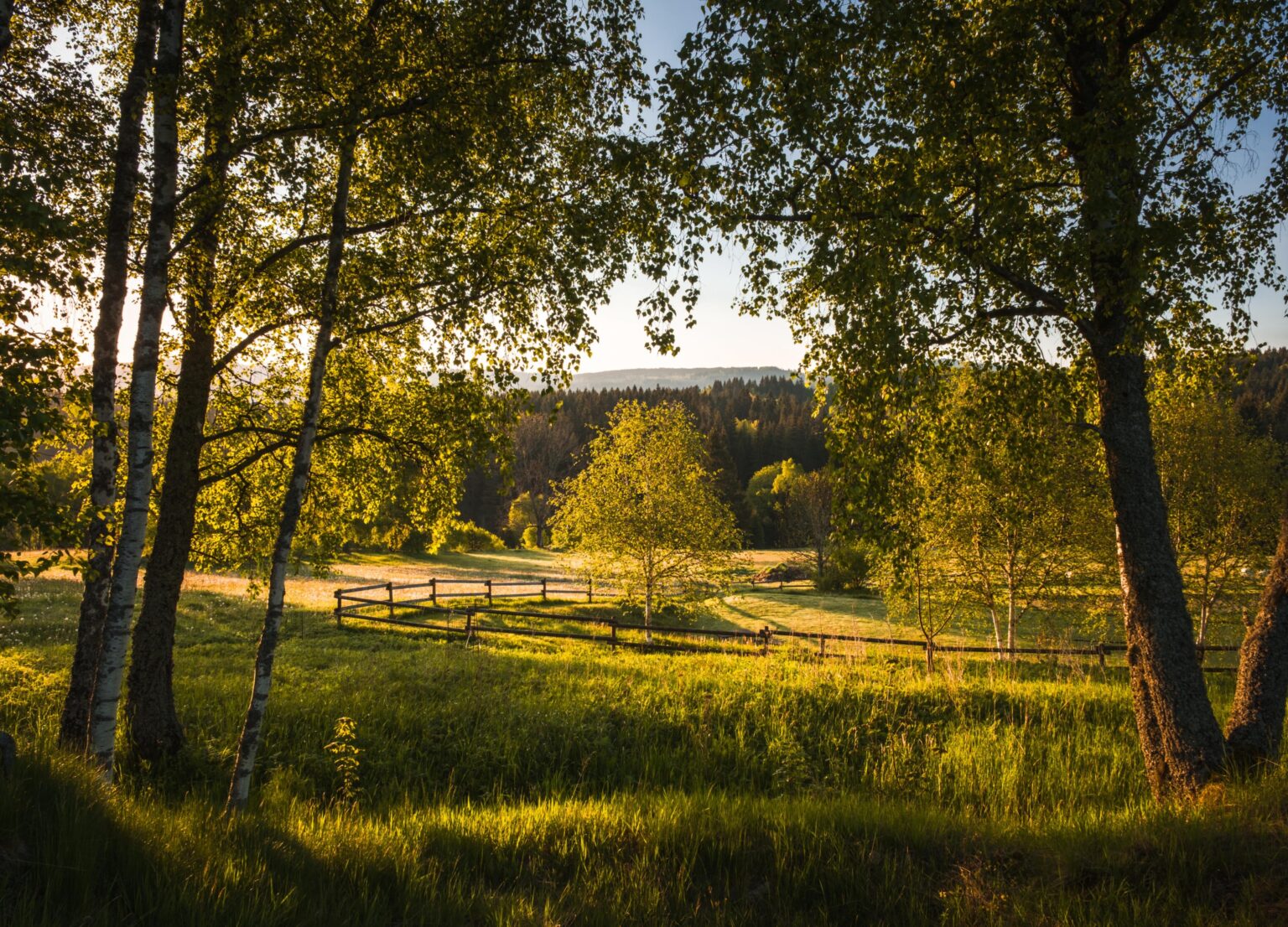 Morgenlicht