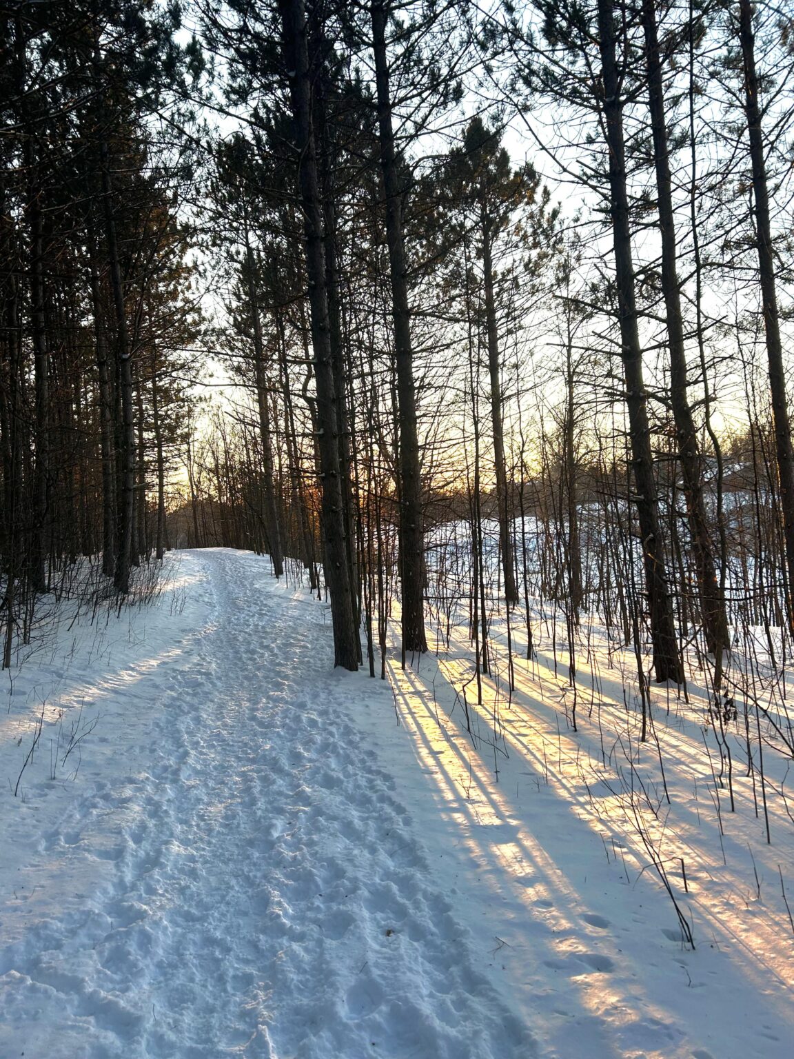 Foto des Naturschutzgebiets, das ich im Februar gemacht habe