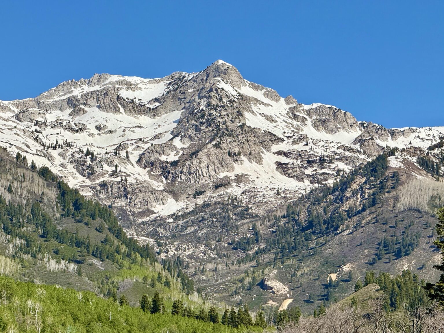 Heute am White Baldy Peak