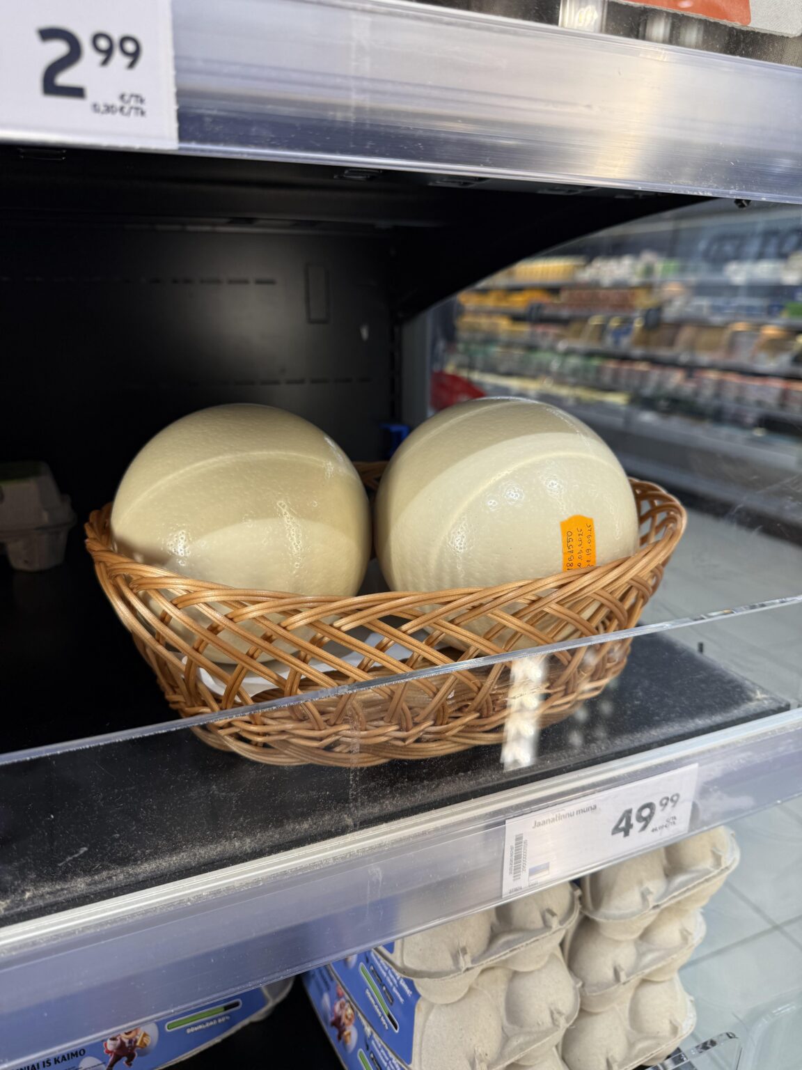 Hat jemand jemals Straußeier gekauft? Wie geht es dir?