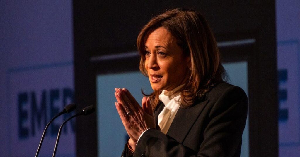 Kamala Harris 2028? Harte Pass.