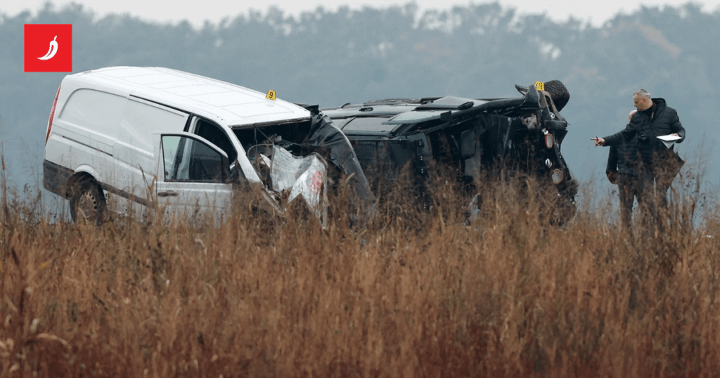 Banozics Verteidigung: Saric war berauscht. Wie viel hat sich das auf den Unfall ausgewirkt?