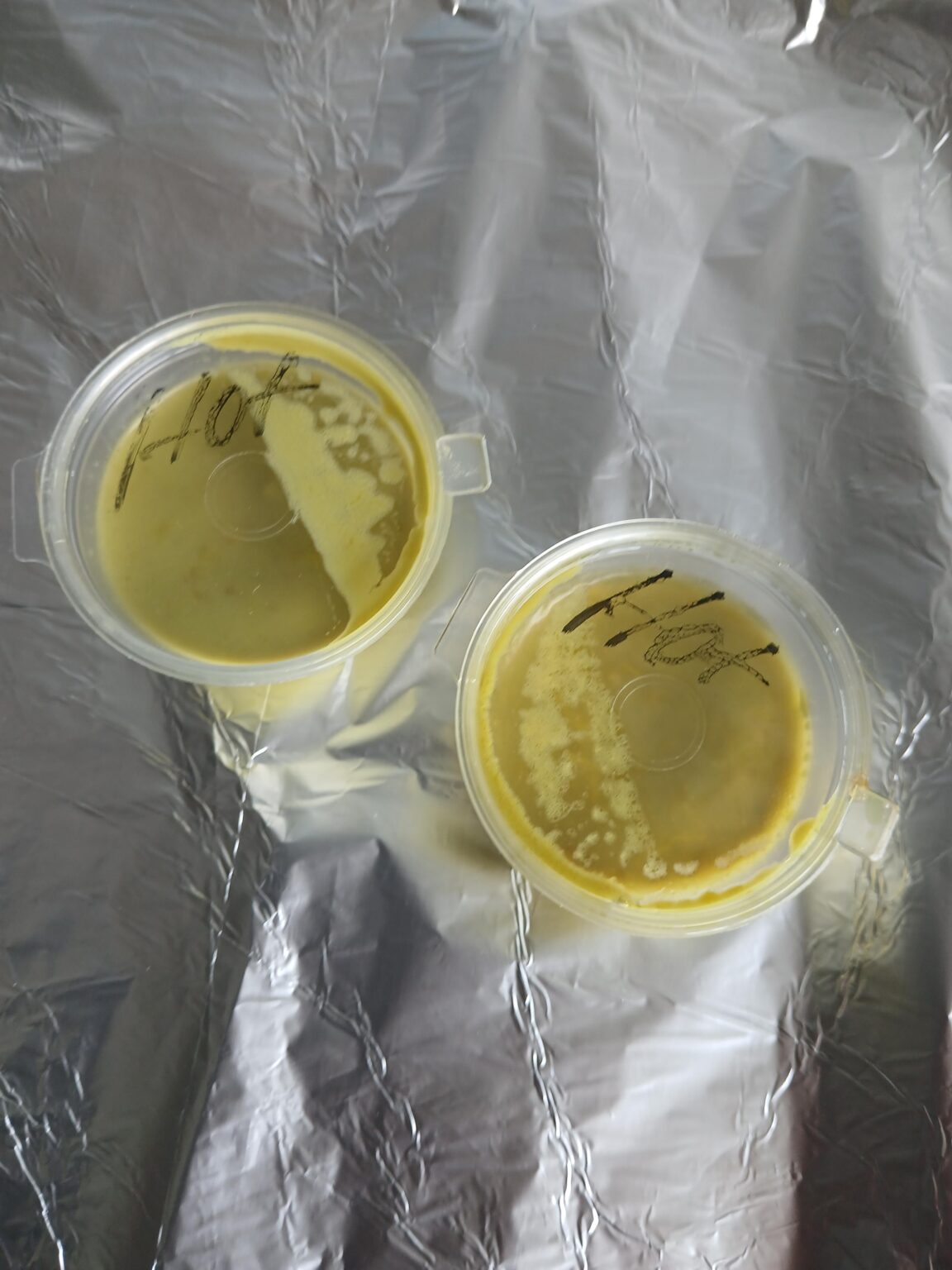 Die wildeste Chilisauce Die wildeste Chilisauce