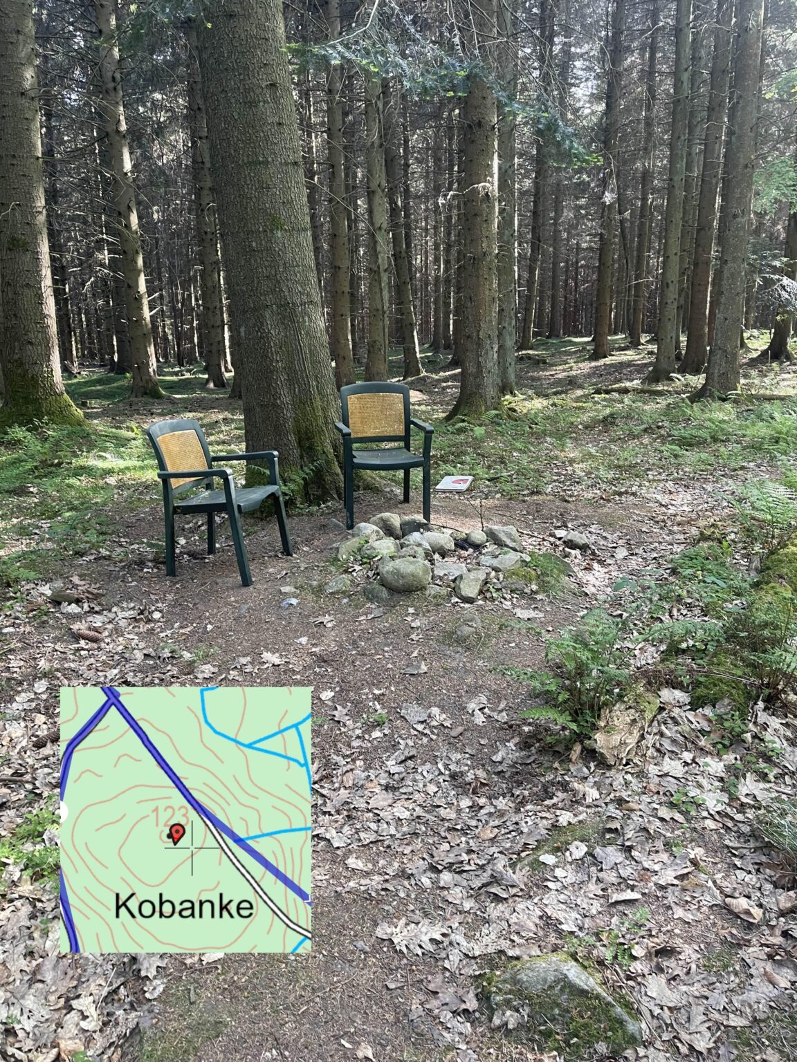 Ich bin den höchsten Punkt von Zealand gestiegen, damit Sie es nicht tun müssen
