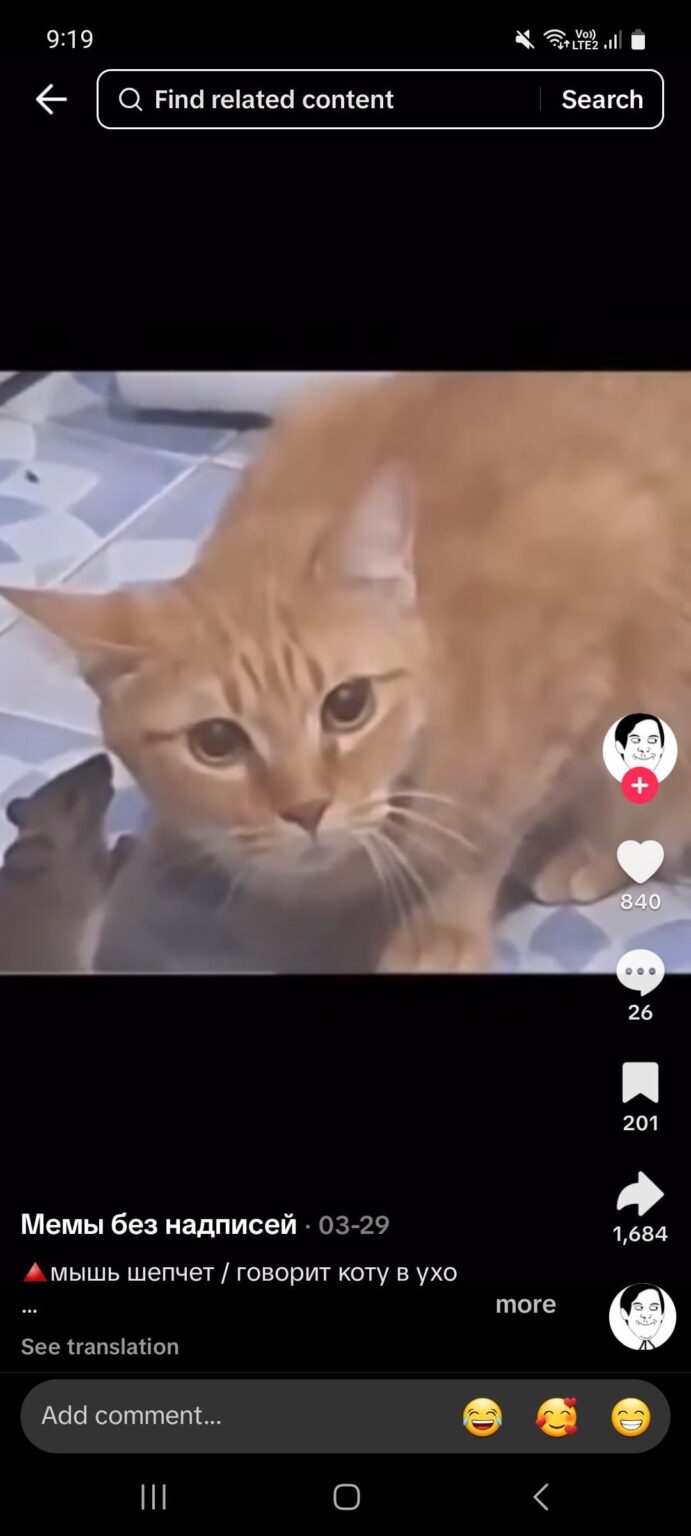 Auf der Suche nach Meme Auf der Suche nach Meme