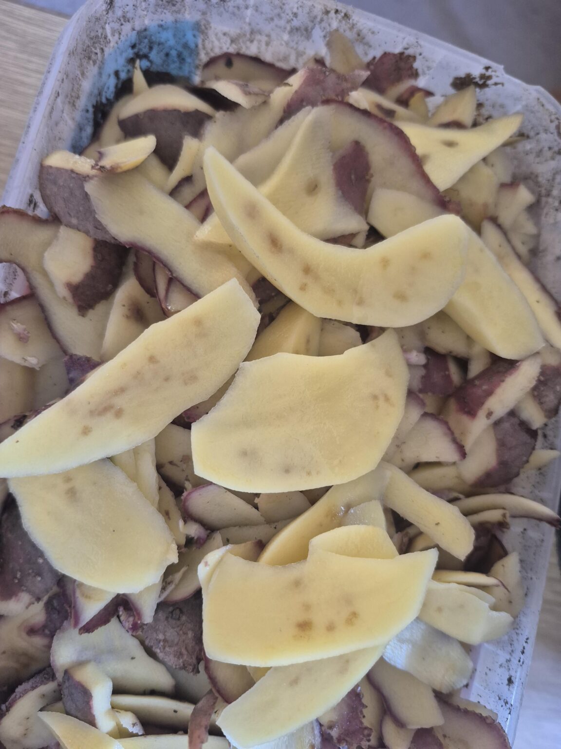 Was ist das? Ist es gefährlich zu essen? Wir haben es immer weggeschnitten, aber es tut mir leid, es wegzuwerfen, wenn es nur etwas aussieht. (Hausgemachte rote Kartoffeln)