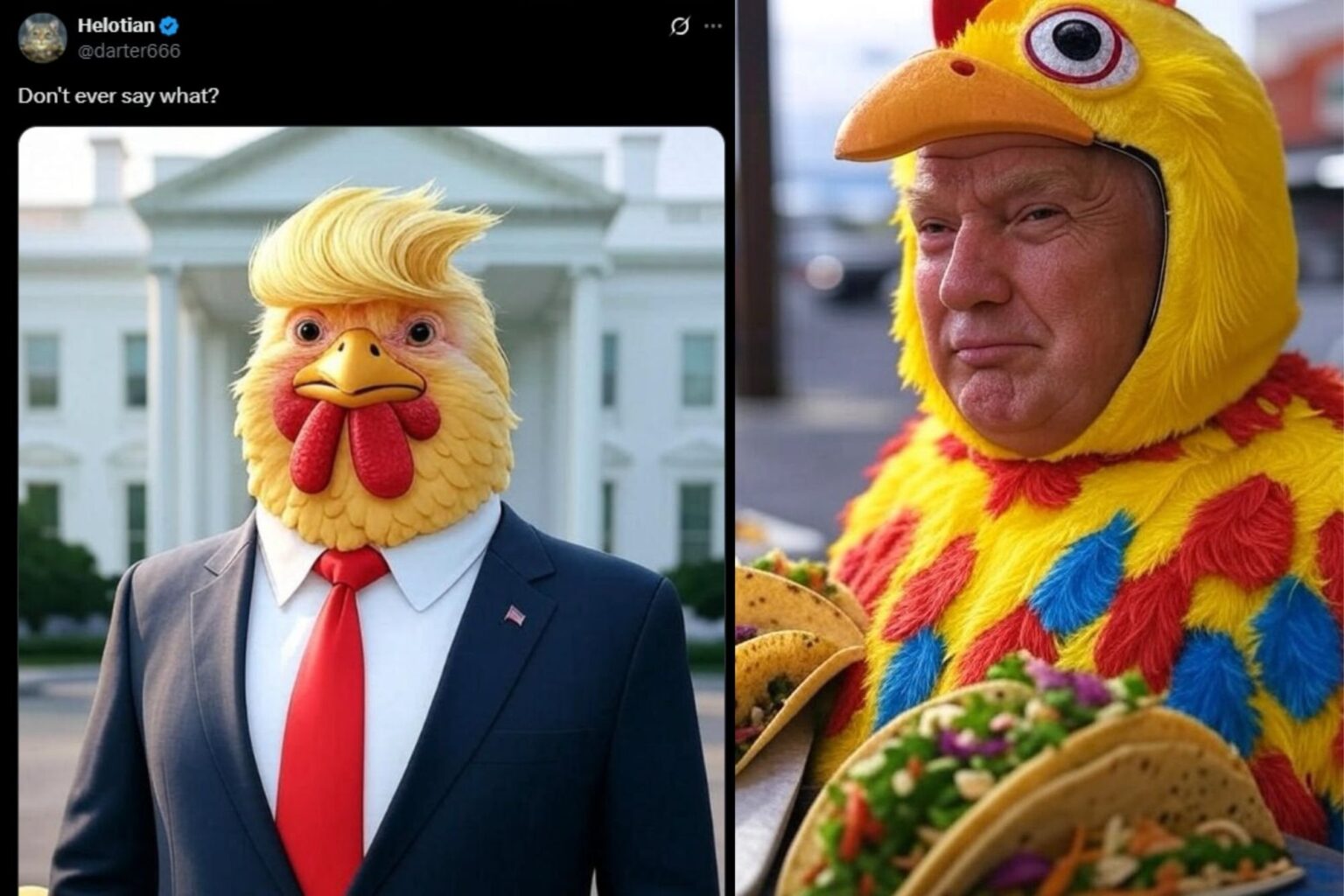 Trumps Zusammenbruch über 'Taco' -Handelspurs Welle von Hühnermemes