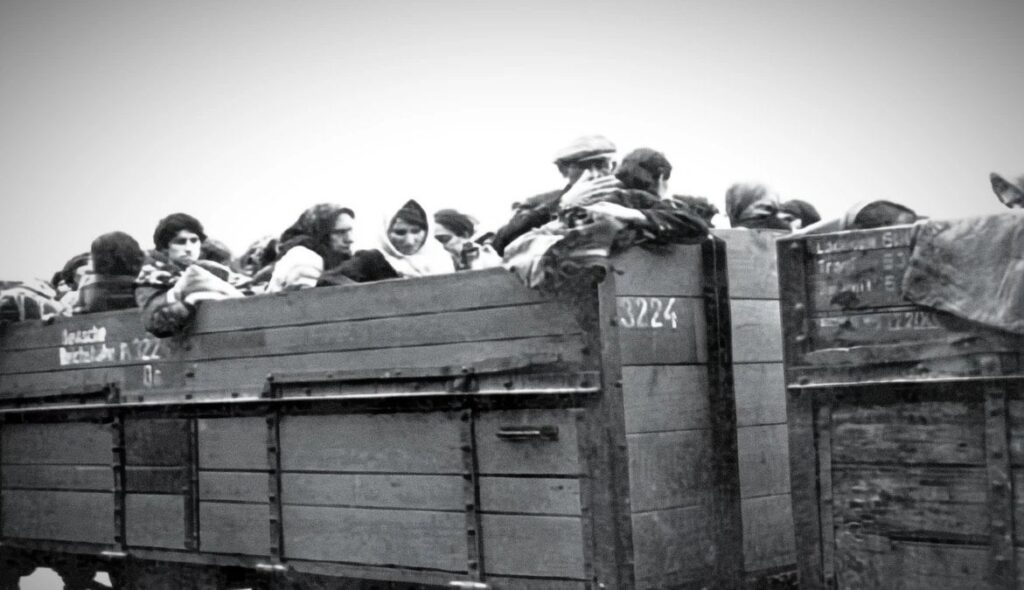 Holocaust -Forscher entfernt Kis 'Prolog aus seinen Büchern