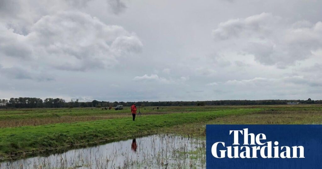 Achtzig Prozent der Torflands Englands sind trocken und degradiert, Mapping -Shows
