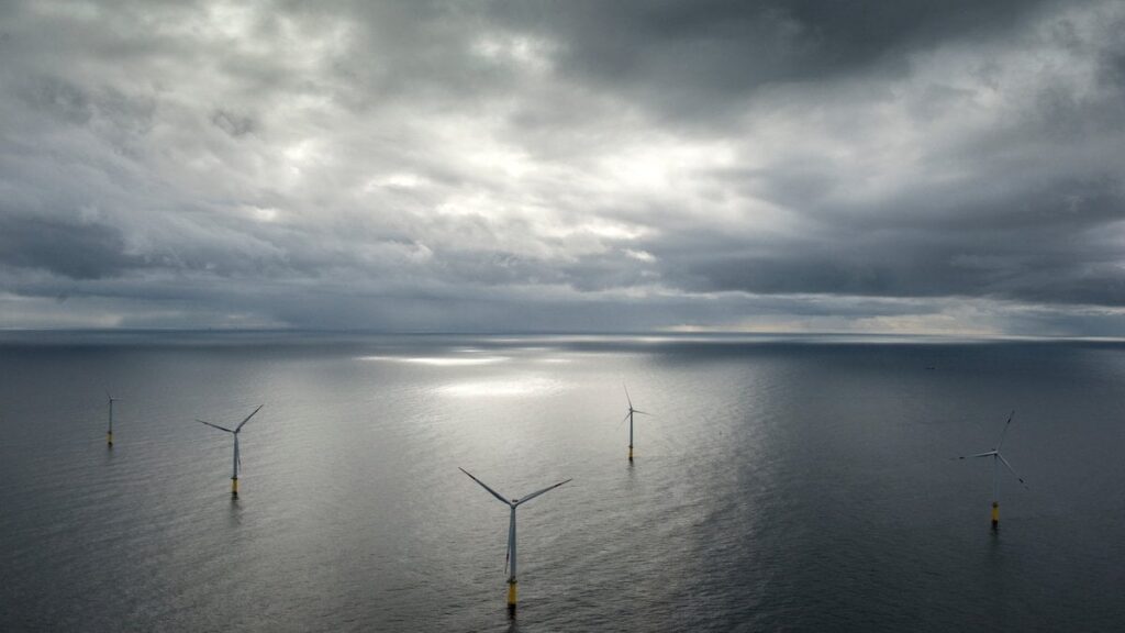 Ein durchgesickerter Verhandlungsvorschlag zeigt, dass die Regierung bereit ist, bis zu 62 Milliarden DKK auszugeben, um Energieunternehmen zum Bau von Offshore -Windkraftanlagen zu veranlassen. Ein durchgesickerter Verhandlungsvorschlag zeigt, dass die Regierung bereit ist, bis zu 62 Milliarden DKK auszugeben, um Energieunternehmen zum Bau von Offshore -Windkraftanlagen zu veranlassen.