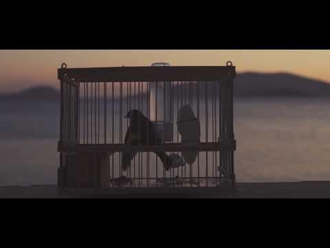 Maler x Wise Dopes - Flame Cold Theodoris Karellas